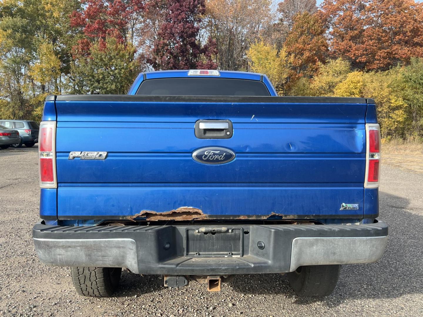 2010 Blue Ford F-150 Lariat SuperCrew 5.5-ft. Bed 4WD (1FTFW1EV1AF) with an 5.4L V8 SOHC 24V FFV engine, 4-Speed Automatic transmission, located at 17255 hwy 65 NE, Ham Lake, MN, 55304, 0.000000, 0.000000 - Photo#4